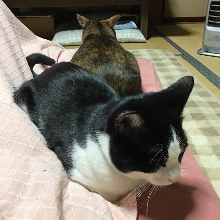 0a316de0 745d 478f 8a70 ab860971bd9d 1642414013919