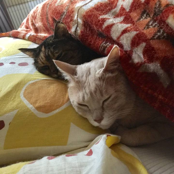 0a3180f6 d826 415d be44 932accc5b260 1551227690880