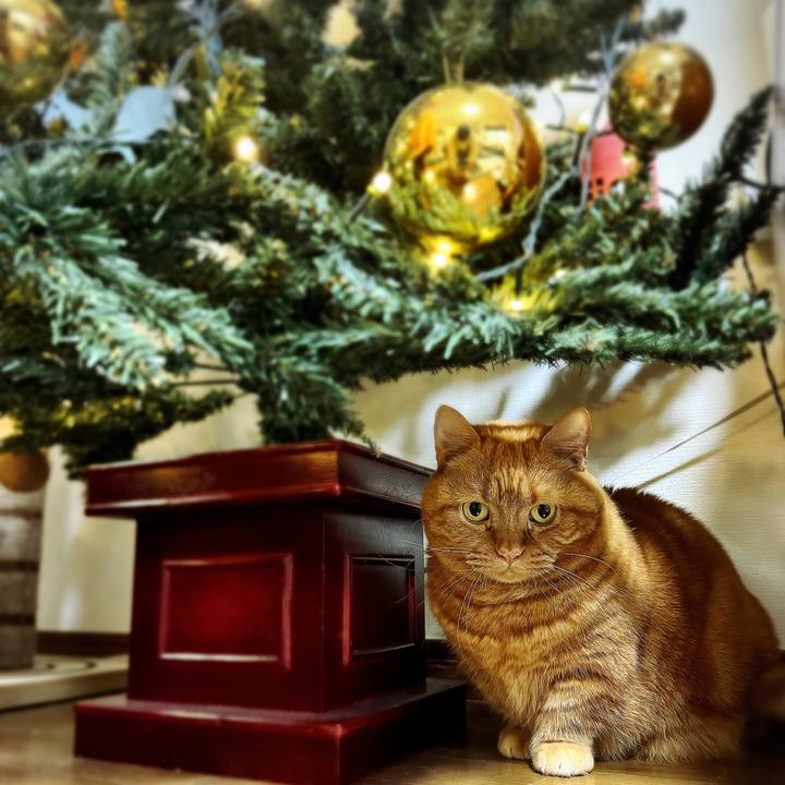 0a3184d1 a384 4fb8 a2f4 3ff3d639434c 1732058272717