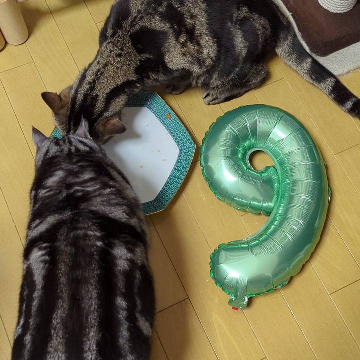 0a31d724 b597 4cae b723 86fe65a9d918 1709116378735