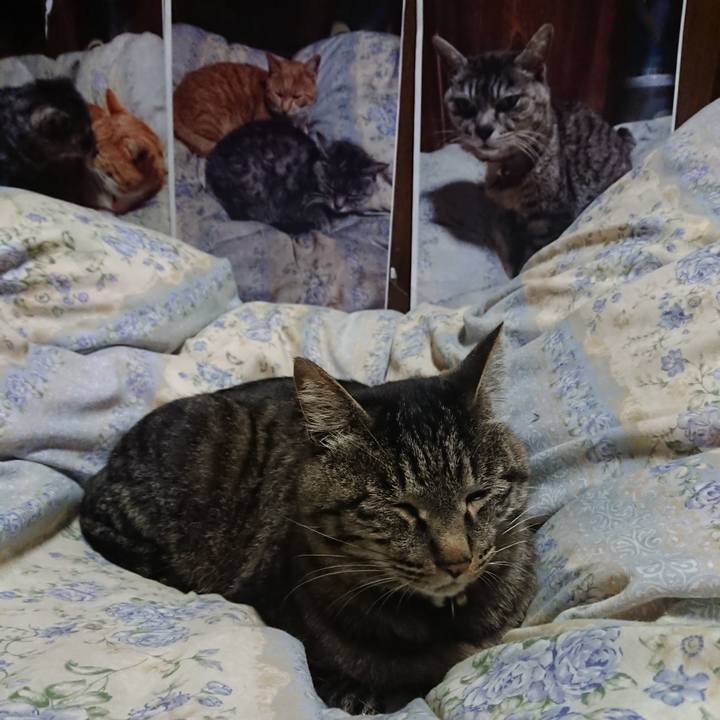 0a31e9a9 899c 4ec9 bfa4 21fad5fa7e13 1653740411359