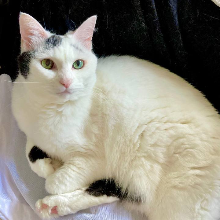 0a31f8d3 c4e4 475a 9cb3 194cea6241b5 1663805526835