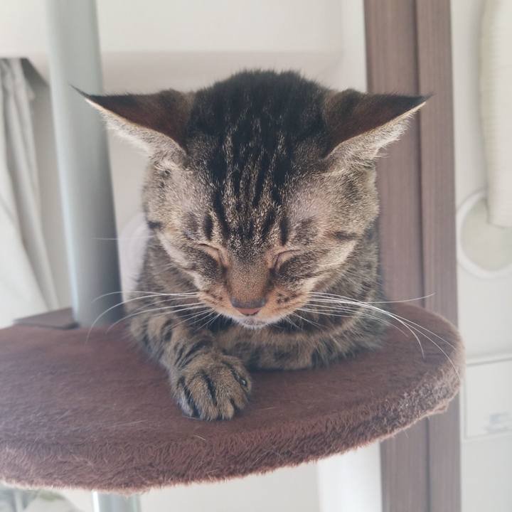 0a3250ba a564 4ec0 81a6 98d37a87e0cf 1573948455828