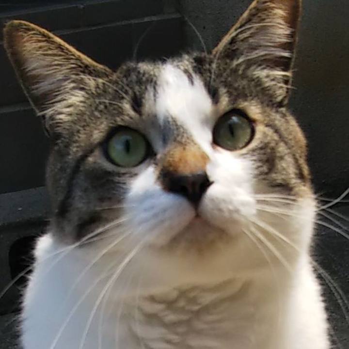 0a32519b 6f54 43eb 83b6 f282201b8c84 1602677103064