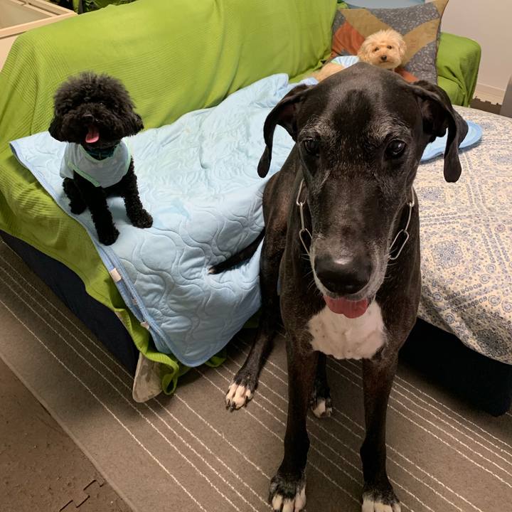 0a328e80 f04e 4a84 82c4 700dad3c01c8 1564007165987