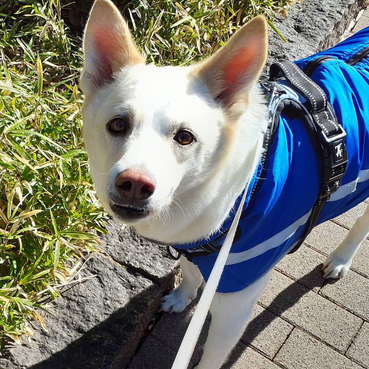 0a32c715 229b 4ebf a467 a2a8f2f449cd 1645840452437