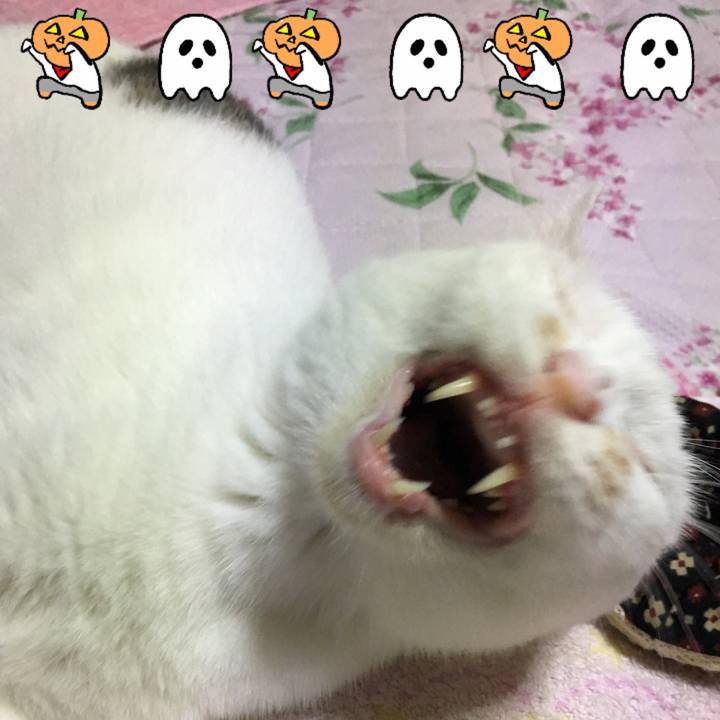 0a33cd39 1c6b 4217 8967 f6e475cb85cf 1571515820979