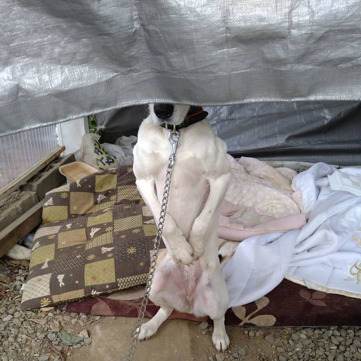 0a33d5f2 11ea 479f 8b22 a61a3bcb9329 1641532465580