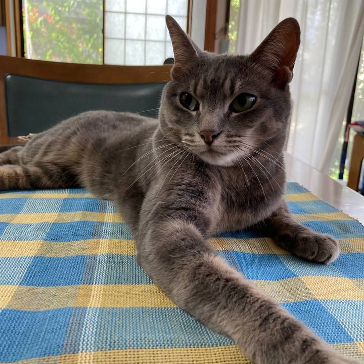 0a342aaf 5571 49a5 908e 13e66581e189 1688854630463