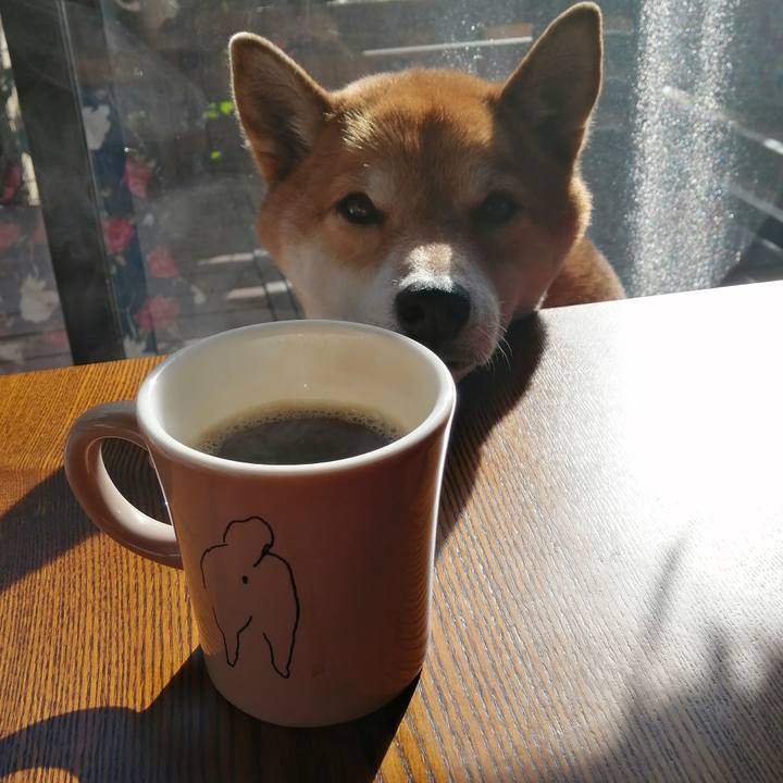 0a3462d3 fa72 4133 8cb2 0f5c129e4c2d 1643346012445