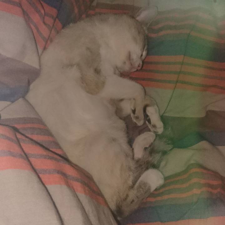 0a3465a9 d45c 49ee 9a24 4ccbaa0dde67 1525678606497