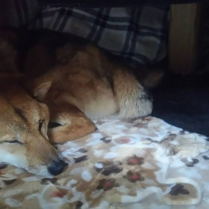 0a3483a6 2d5d 4dae b275 31ffb20360c6 1549170666796