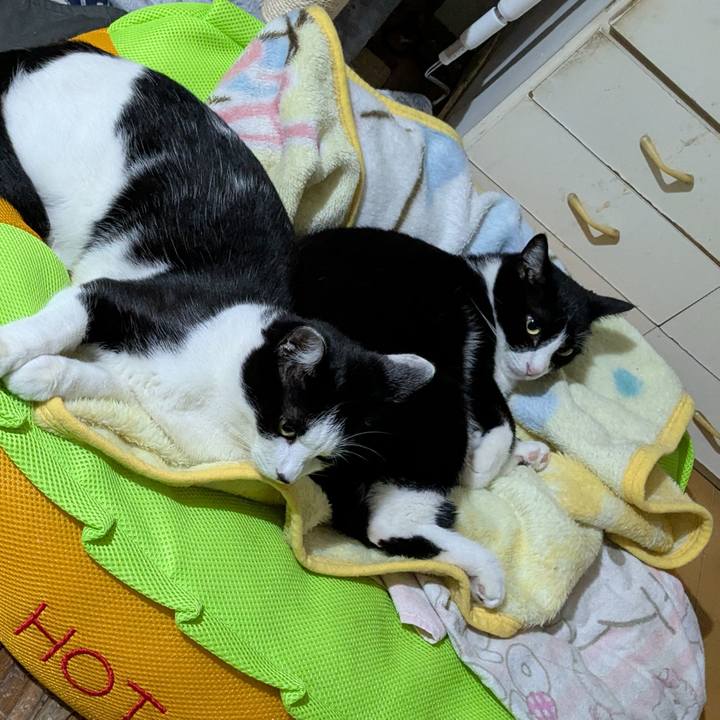 0a34c0f3 efde 43a8 9daa 622a763b5f5b 1758771545440