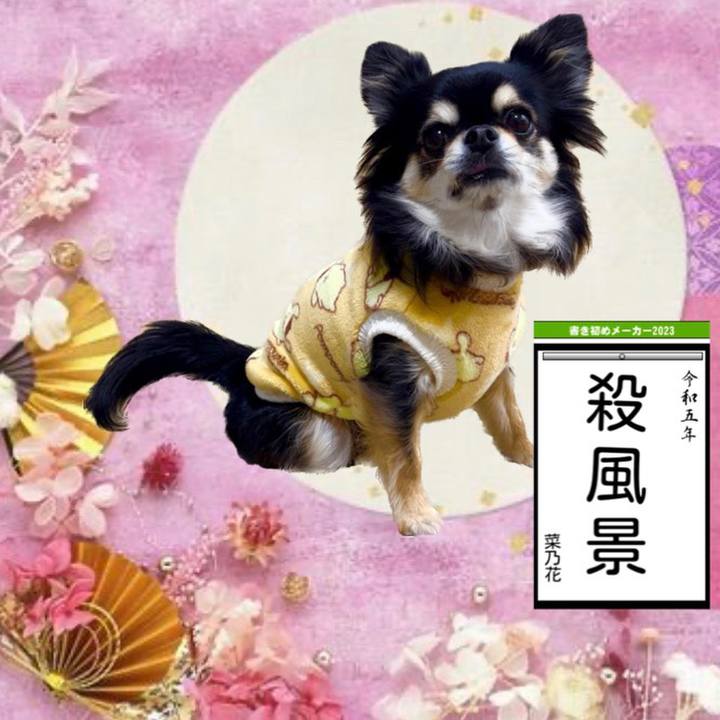 0a34dbd3 284b 451d b17d ace326a78623 1672643444572