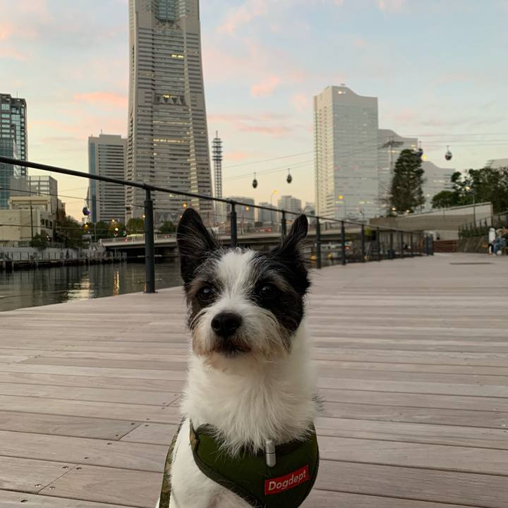 0a350623 de6f 43d5 a6b1 4b9bc1e0b9ea 1635582532622