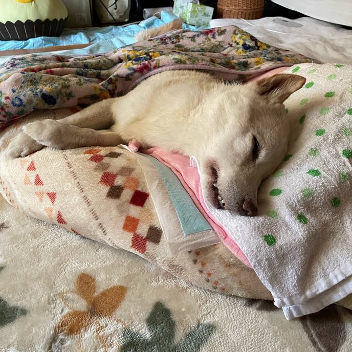 0a351aab 82ee 41ef 9035 e1cc125eb0de 1671764260930