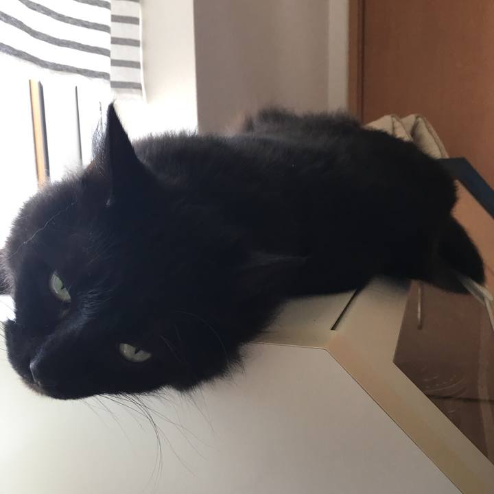 0a352c78 ebc0 4bcd 89f8 c49541a10e98 1561874389948