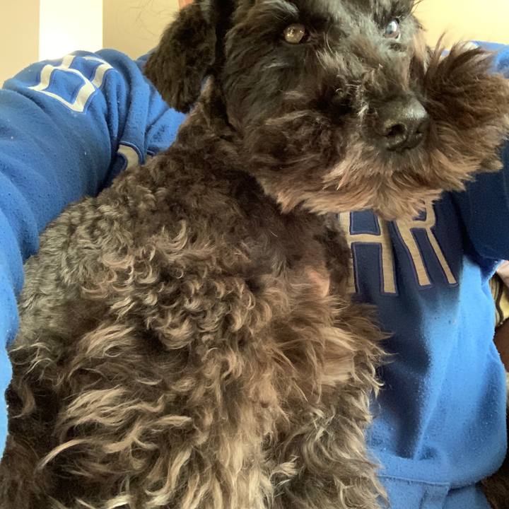 0a353cf3 014d 44ff 8382 0a19e29c5be4 1607383183912