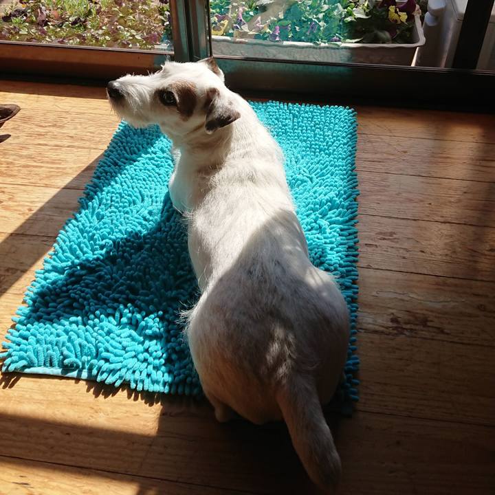 0a3570f9 c19f 4c10 9aa8 8eb3c7c752d6 1520206121815