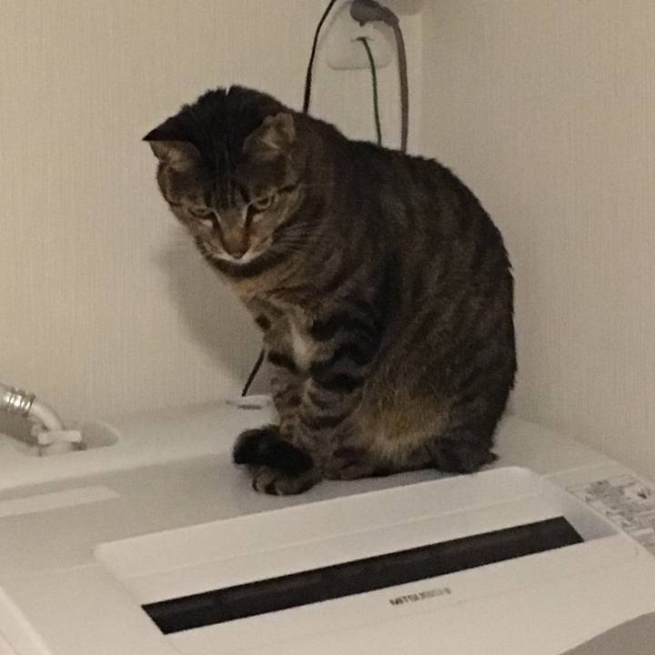 0a357925 a260 48c0 882d e269c4d95f24 1555370015100