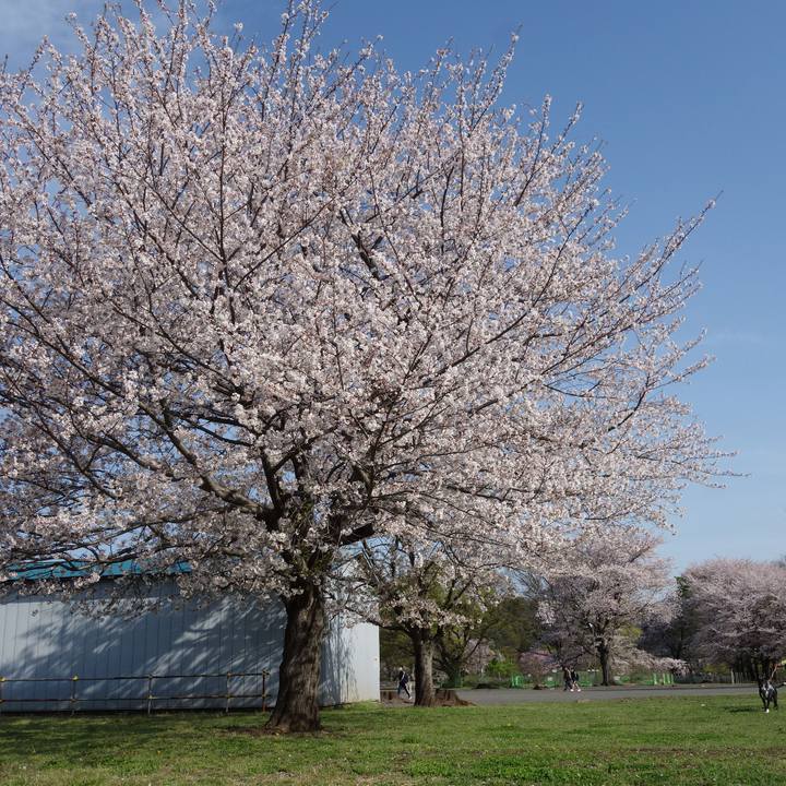 0a35a5ca e945 4048 87f7 a58809410d7a 1712796624027