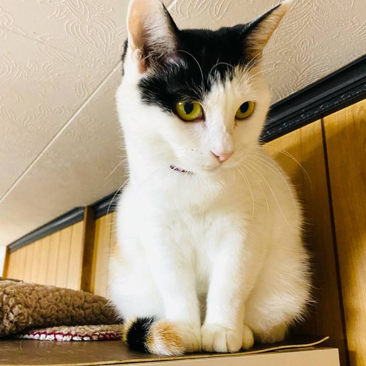 0a35b0df 5814 4648 8473 5b75be3a4f7e 1698233070497