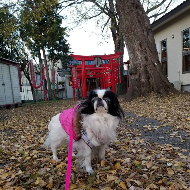 0a35ddfa 010f 4b15 b484 f8de5faad66c 1512820076104