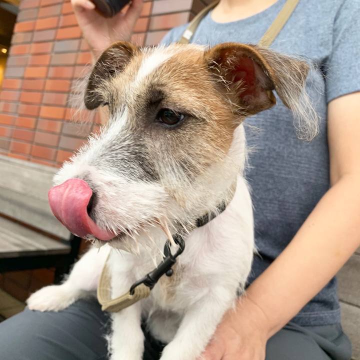 0a35de06 d6b6 47e0 b9b7 0e868180433a 1563707371390