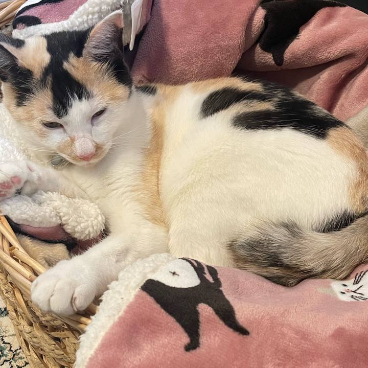 0a35deac ab9c 40e6 8323 06aa623c2186 1685681190356