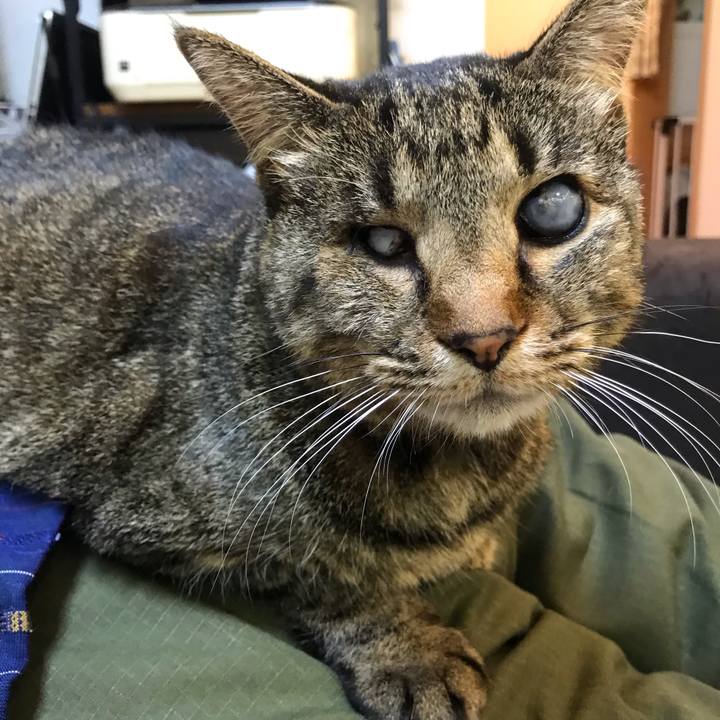 0a35e751 ec4b 4589 8221 199b1a9cbdc9 1613719168177