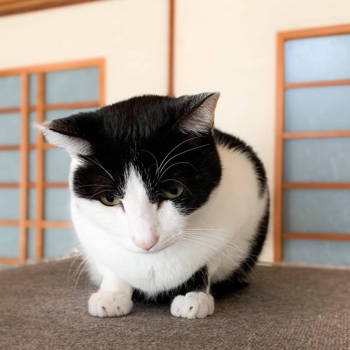 0a362429 e142 4456 82a8 dc7fcbd4bbee 1577236639234