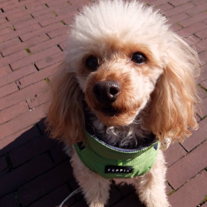 0a364100 4696 4b28 ac69 43e6387ce248 1517048960992