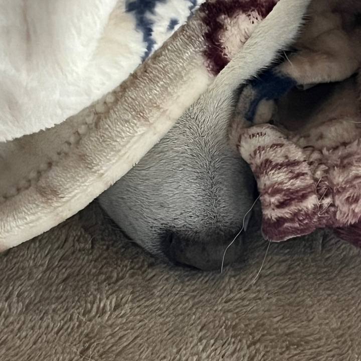 0a36666b 8f8b 4cb2 9c65 14461d939dc7 1699101906764