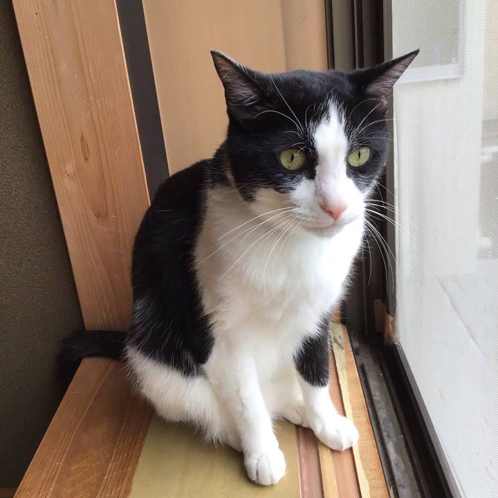 0a367bbd 8481 445c b16f f7100694d1de 1750825175815