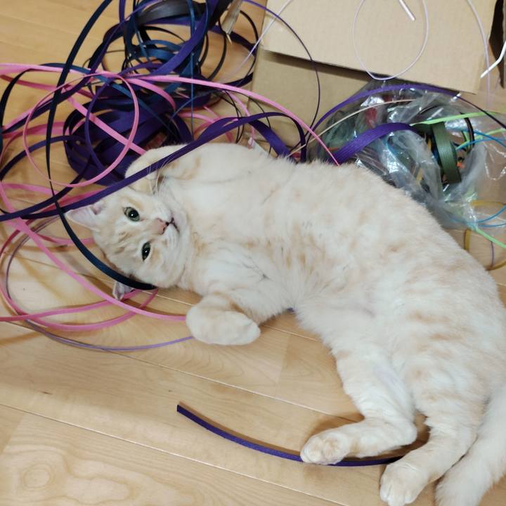 0a367f44 8775 4e4d ae9f 3d434baad275 1746745498308