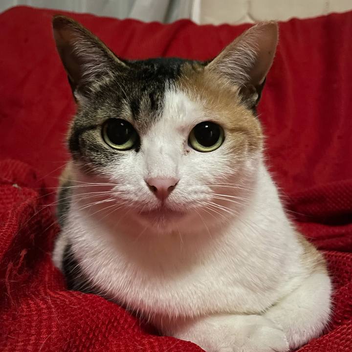 0a369e2d bad6 49ef 9d98 33d0a3e67b35 1618311642386