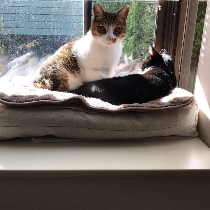 0a36a24b 427d 4ed6 a54b d220e1da6254 1509164485430