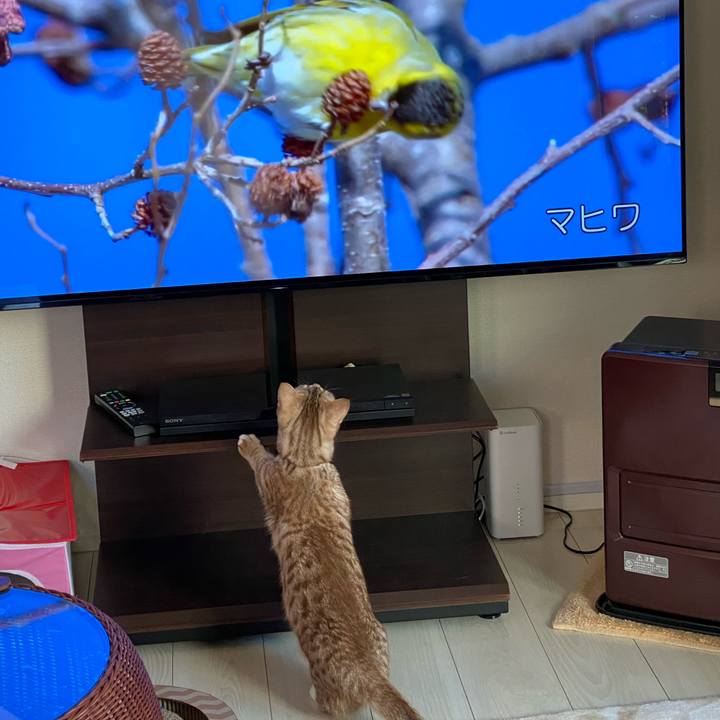 0a36d92c 3487 4ca3 a3a5 2b9fddb38242 1618700543781