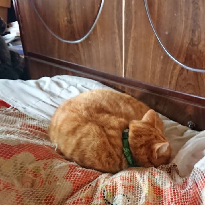 0a36eb7e c4f7 443a b035 3caddc65c364 1584752128572