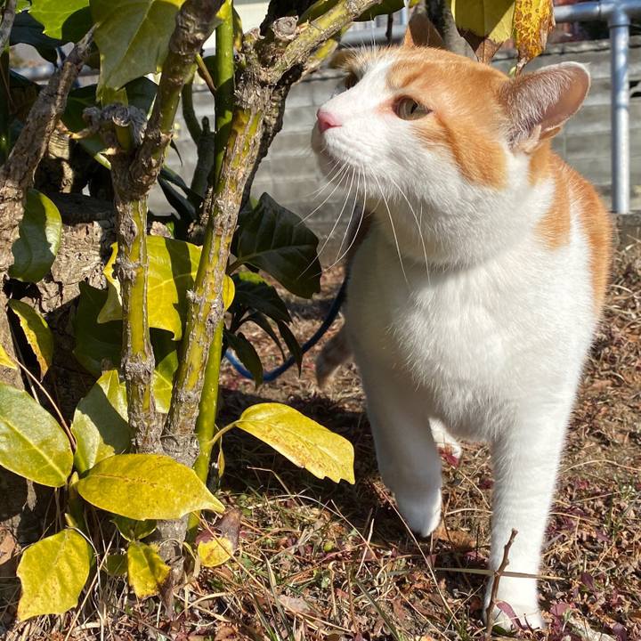 0a36eef9 44b8 4a79 a05b 5ca280d9b96e 1581132943905