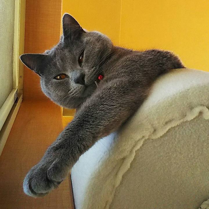 0a370edc 98c6 46b8 a524 004b2f9b1bbb 1522021462329