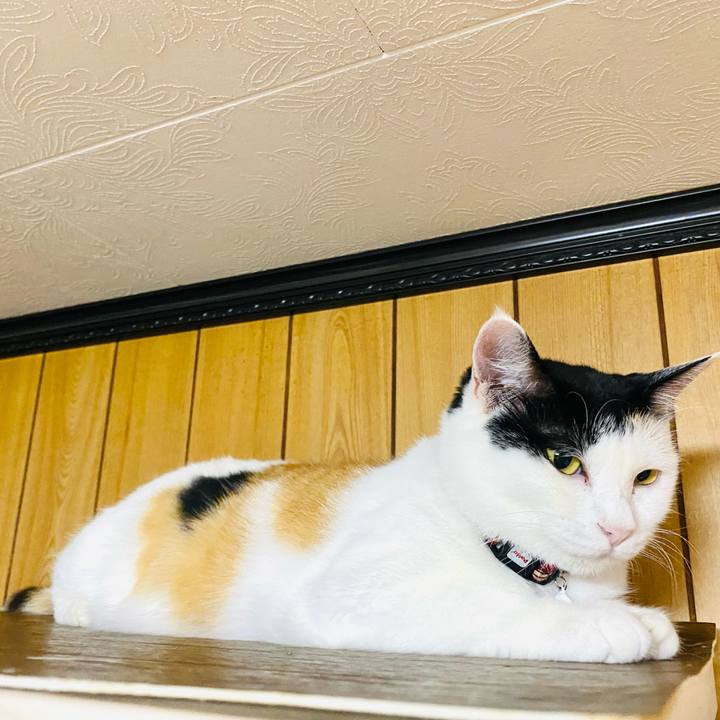 0a371958 33f2 4ae5 ac35 594fe8bb2402 1659300551091