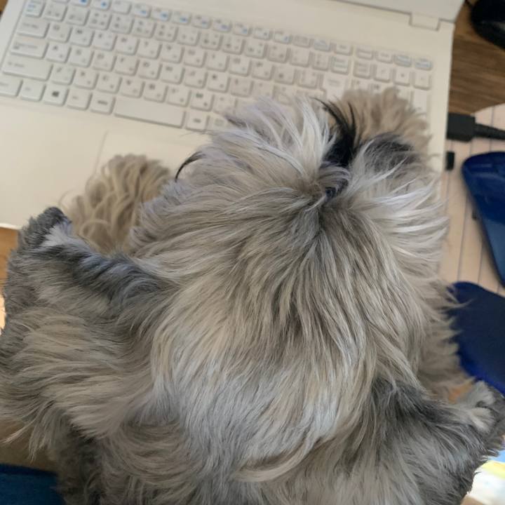 0a373469 55c1 43d6 836a d7bf3f7be3e4 1644544497514