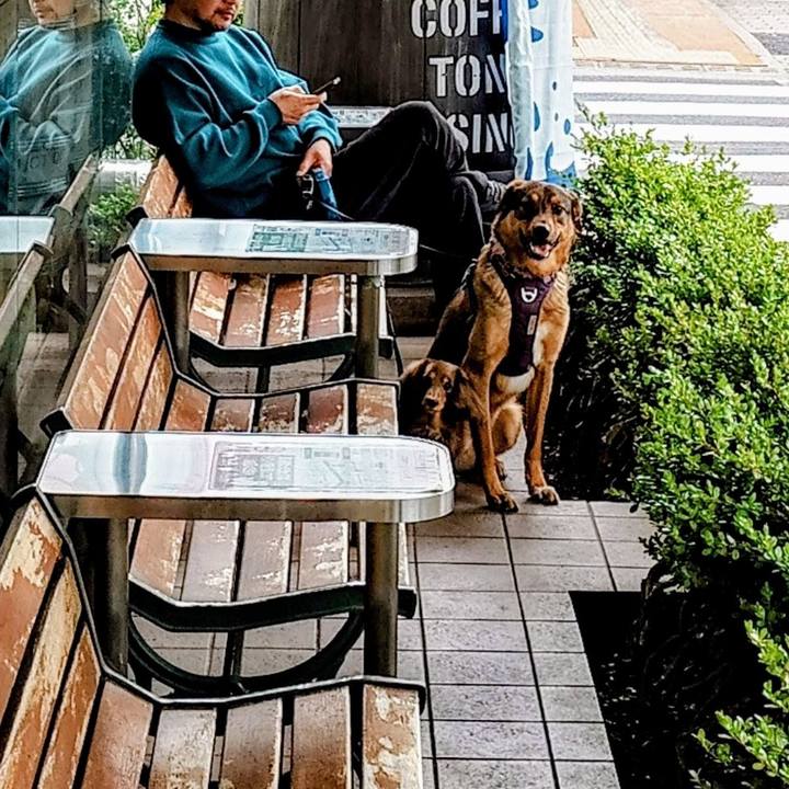 0a3765e0 78b3 4d40 8573 5e06adc49cb1 1775269879129