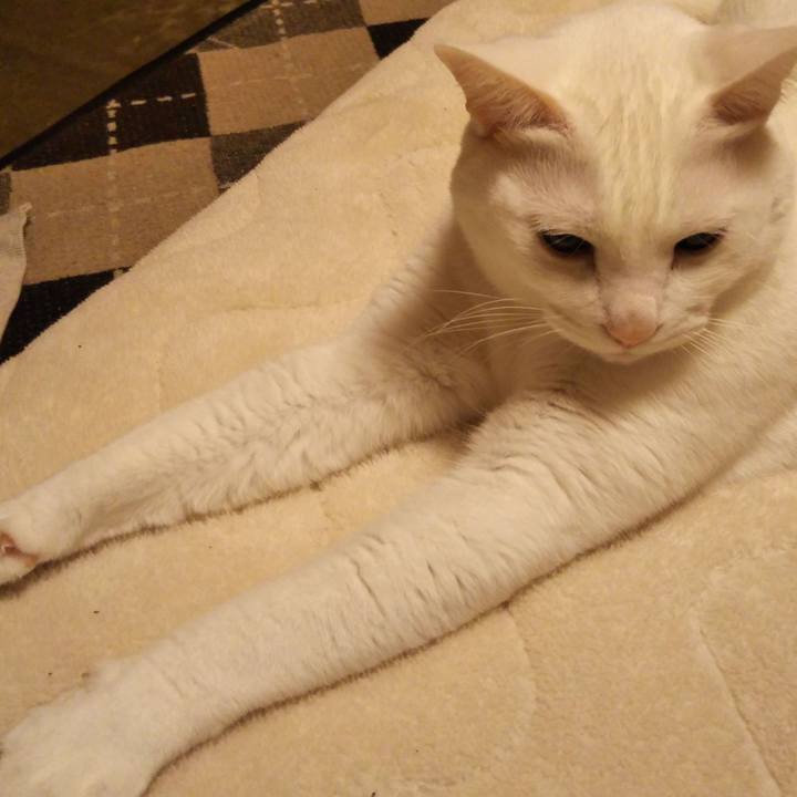 0a377865 139e 4c34 a03e 26518cc32a04 1550763473273