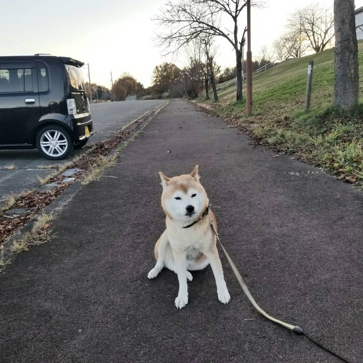 0a37879d 3bbc 4c03 8fee bf7ec3588108 1668495193515