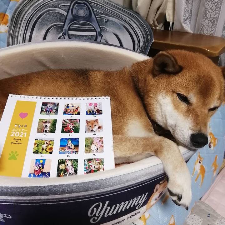 0a378d09 22a9 4ba9 8ea4 6318beda83c5 1605788849017