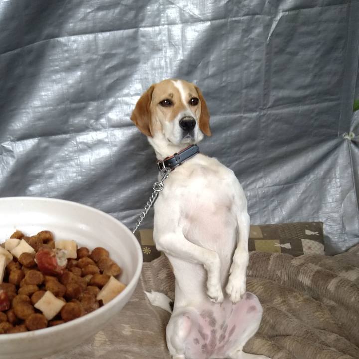 0a37adec f42c 4bbf 97c0 9da784a21a4c 1625302631733