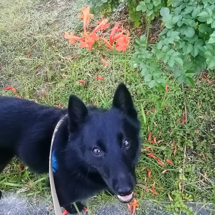 0a380770 a723 4de8 a2f6 7f65c359e48b 1633294951389