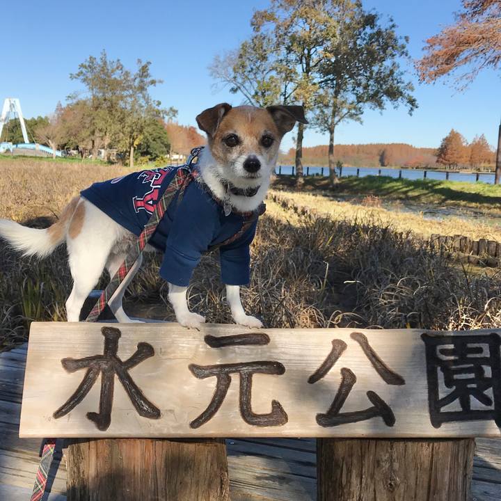 0a38398e 9b2a 49f9 a736 ee016de697cf 1575342931362